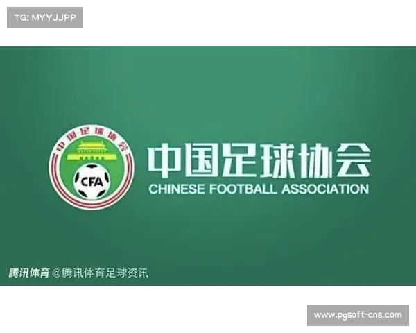 中国足协启动多语言足球术语数据库建设涵盖56个民族语言及主要外语翻译